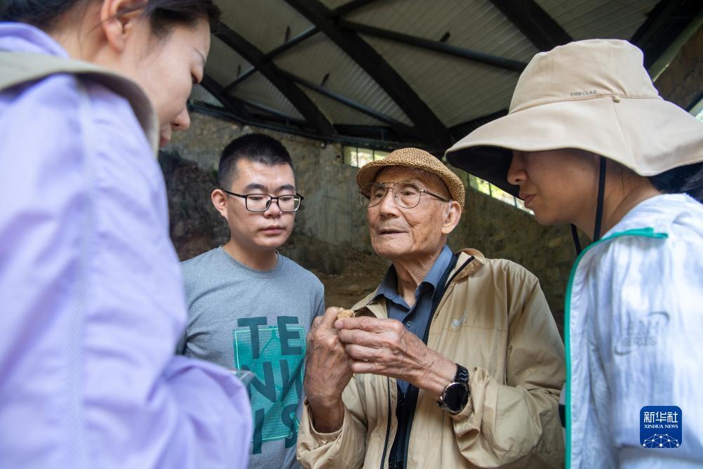 串里面赢一半输一半平怎么算